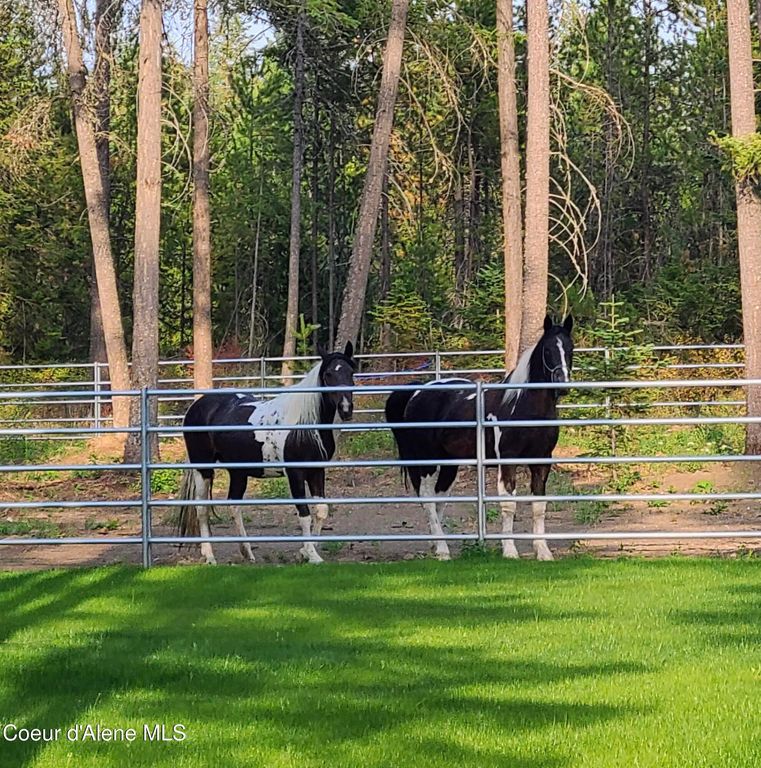 1609 E Amulet Cir, Rathdrum, ID 83858 photo 52