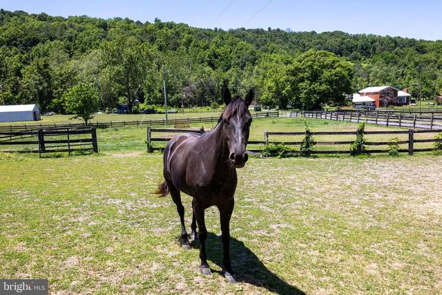 3259 IDA RD, Luray, VA 22835