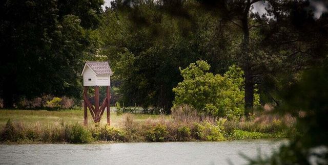 1491 Clay Field Trail, Summerville, SC 29485