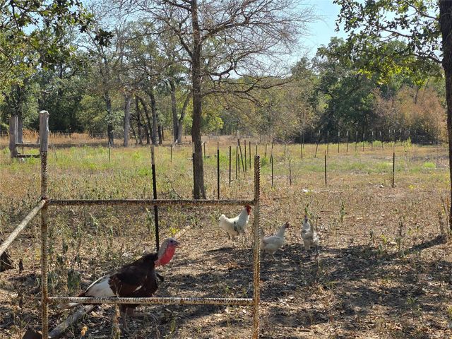 376 Jones RD, Cedar Creek, TX 78612