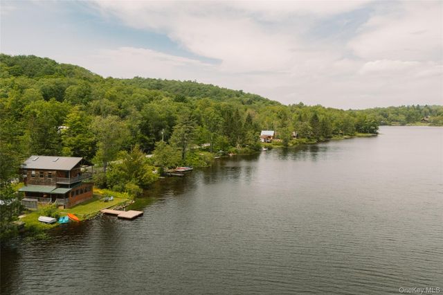 212 Trout Brook Road, Roscoe, NY 12776