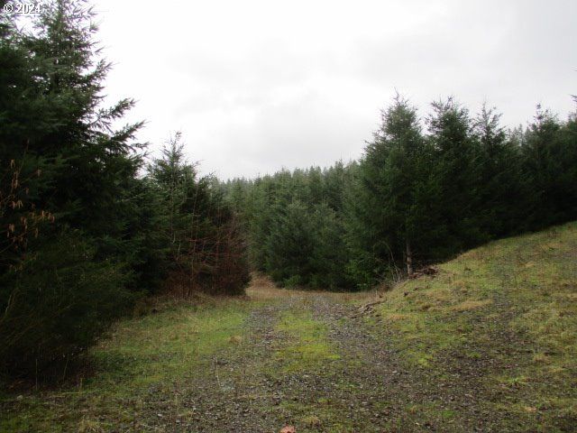 0 Rocky Top Rd, Sweet Home, OR 97386