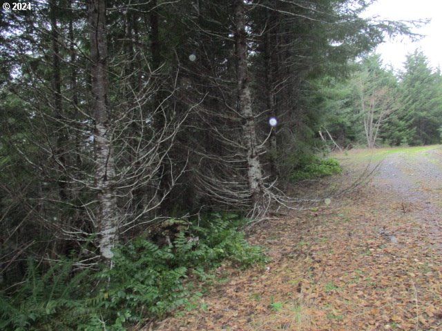 0 Rocky Top Rd, Sweet Home, OR 97386