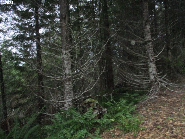 0 Rocky Top Rd, Sweet Home, OR 97386