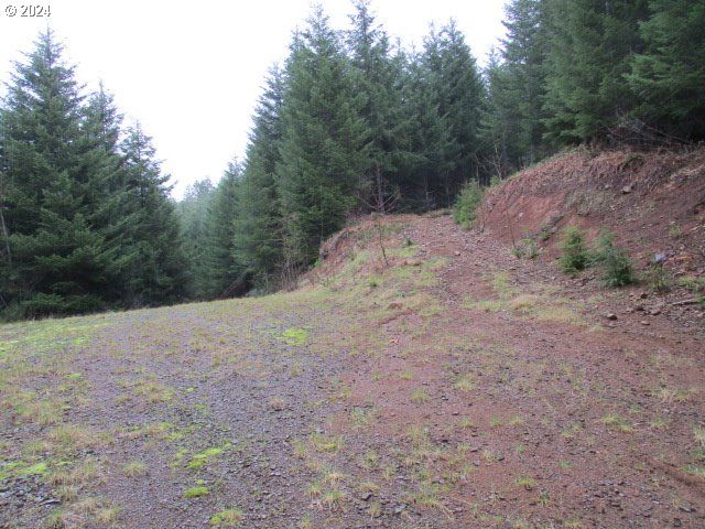 0 Rocky Top Rd, Sweet Home, OR 97386