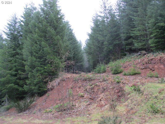 0 Rocky Top Rd, Sweet Home, OR 97386