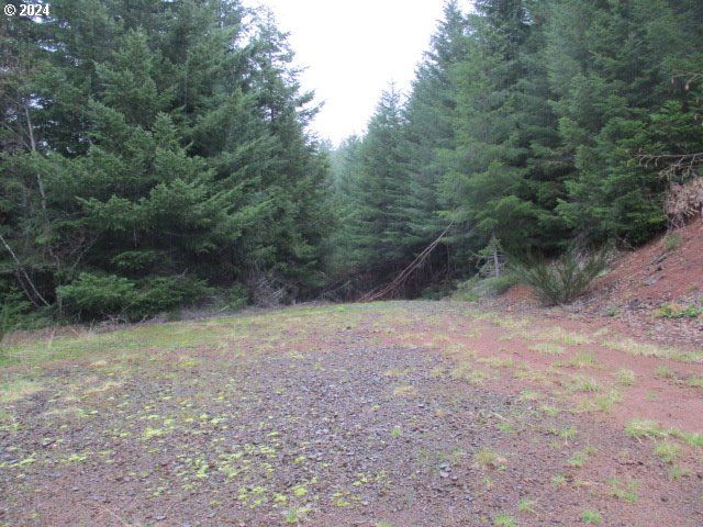0 Rocky Top Rd, Sweet Home, OR 97386