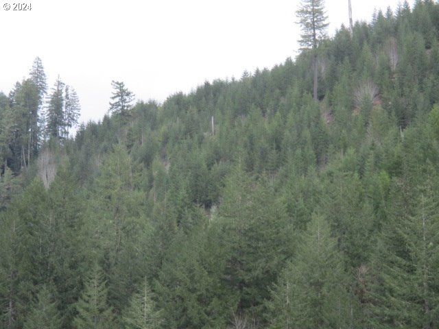 0 Rocky Top Rd, Sweet Home, OR 97386