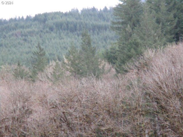 0 Rocky Top Rd, Sweet Home, OR 97386