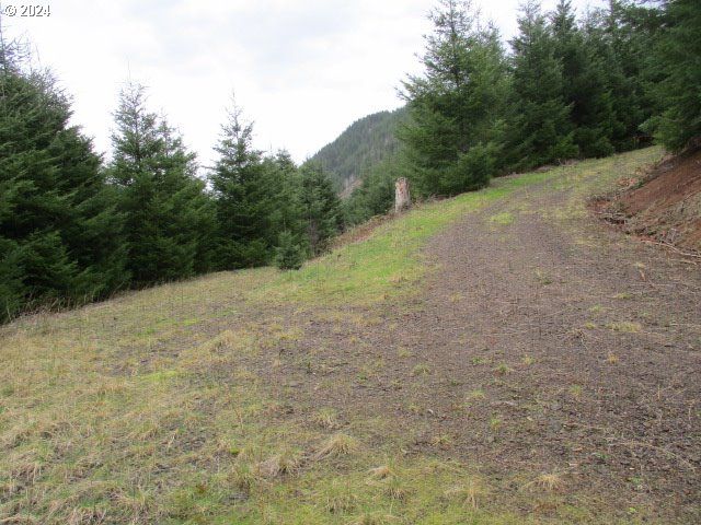 0 Rocky Top Rd, Sweet Home, OR 97386