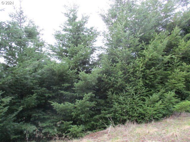 0 Rocky Top Rd, Sweet Home, OR 97386