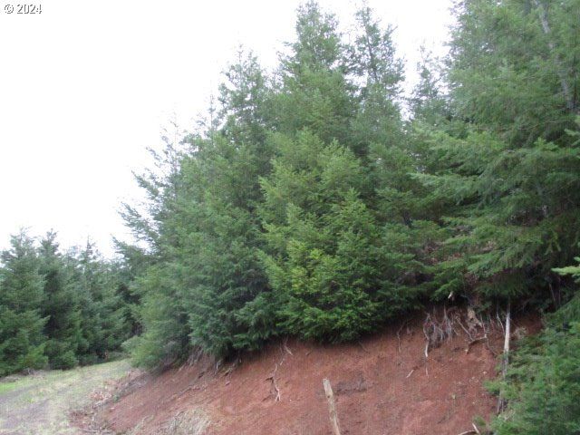 0 Rocky Top Rd, Sweet Home, OR 97386