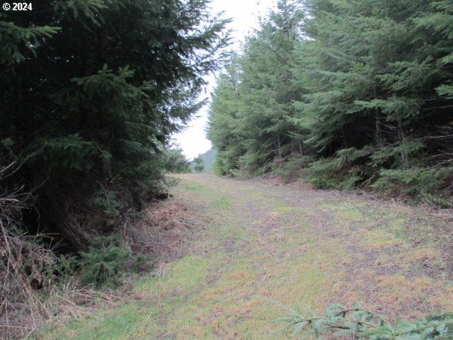 0 Rocky Top Rd, Sweet Home, OR 97386