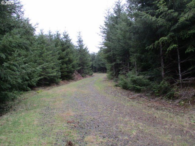 0 Rocky Top Rd, Sweet Home, OR 97386