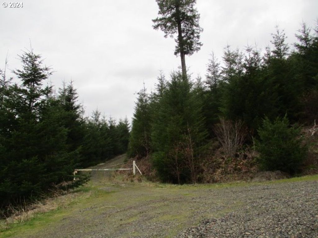 0 Rocky Top Rd, Sweet Home, OR 97386