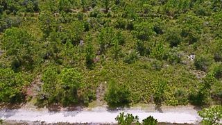 GRANADA DRIVE, Indian Lake Estates, FL 33855