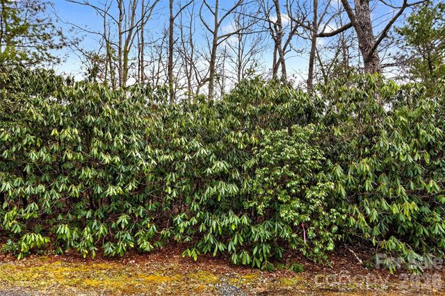 TBD Red Bird Road, Spruce Pine, NC 28777