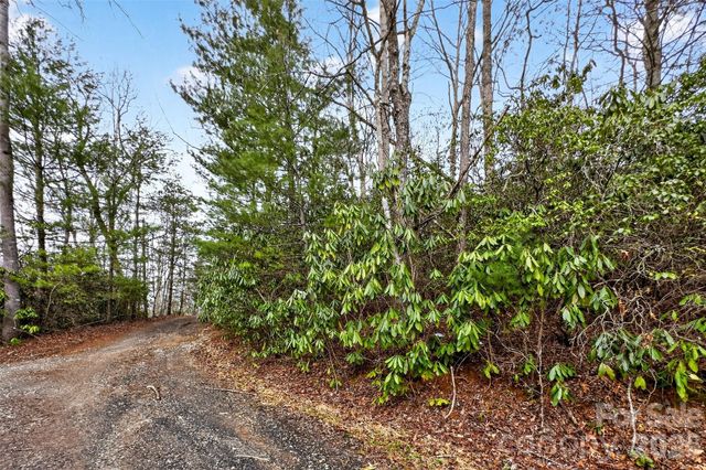 TBD Red Bird Road, Spruce Pine, NC 28777