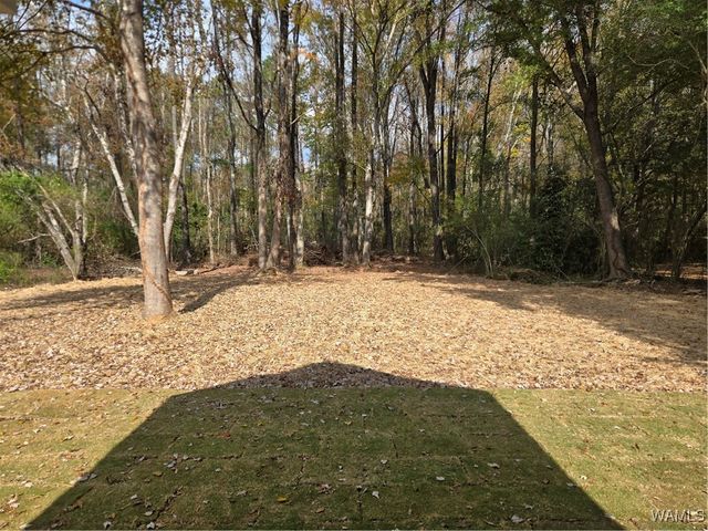 106 Raintree, Moundville, AL 35474