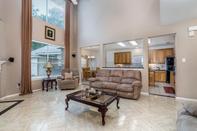 17907 Shady Canyon Lane, Tomball, TX 77377