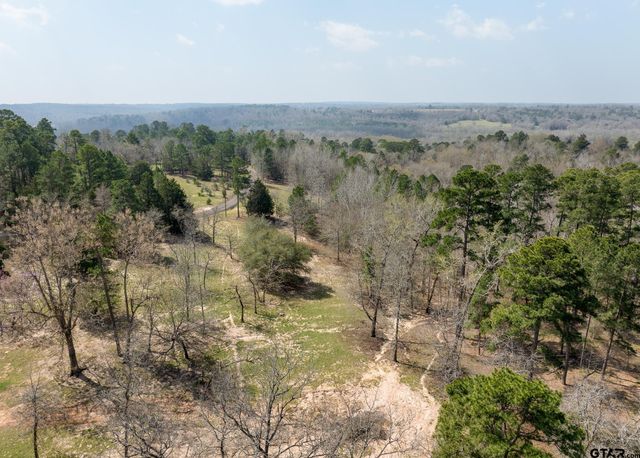 230 ACR 3191, Frankston, TX 75763