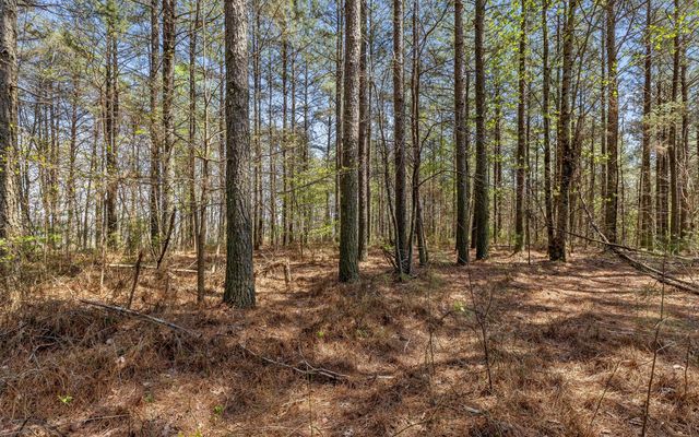 Lot 2225 High Ground Road, Guild, TN 37340
