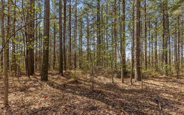 Lot 2225 High Ground Road, Guild, TN 37340