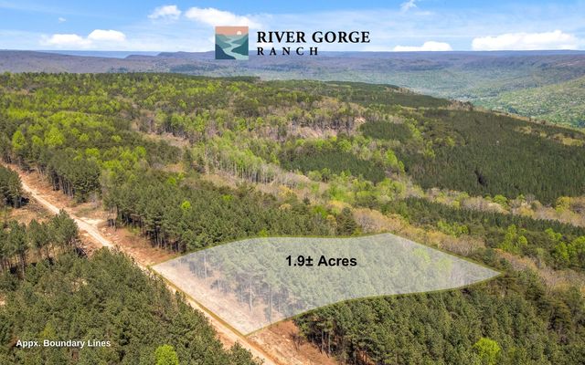 Lot 2225 High Ground Road, Guild, TN 37340