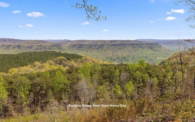 Lot 2225 High Ground Road, Guild, TN 37340