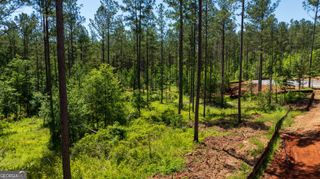 LOT 16 Indigo Trail, Newnan, GA 30263