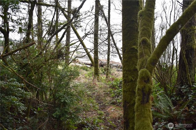 781 Mariner Court SE, Ocean Shores, WA 98569