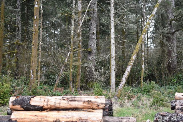 781 Mariner Court SE, Ocean Shores, WA 98569