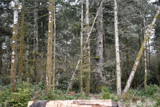 781 Mariner Court SE, Ocean Shores, WA 98569