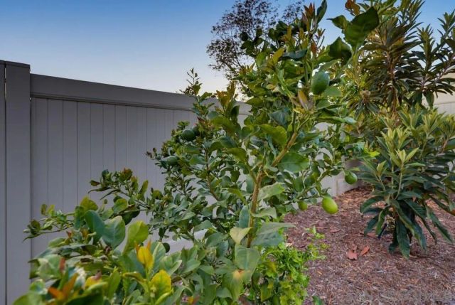 5850 Jan, La Mesa, CA 91942