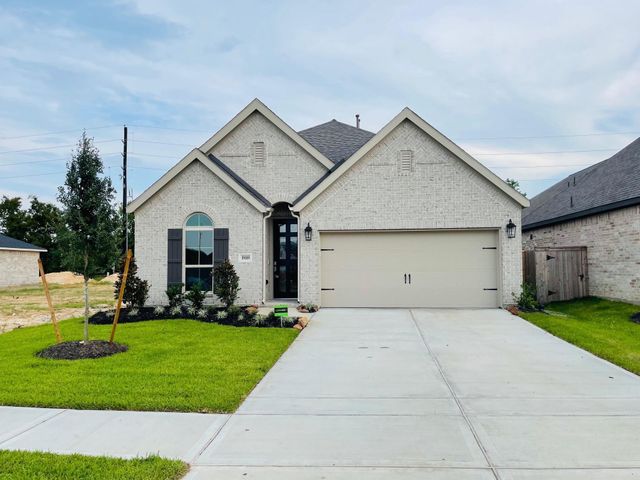 19119 Friesian Stallion Lane, Tomball, TX 77377