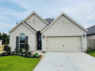 19119 Friesian Stallion Lane, Tomball, TX 77377