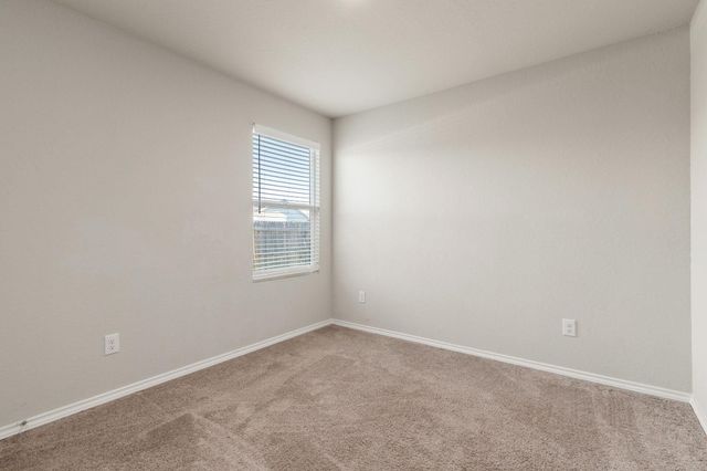 1922 Grey Catbird, New Braunfels, TX 78130