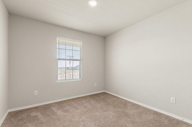 1922 Grey Catbird, New Braunfels, TX 78130