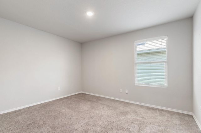 1922 Grey Catbird, New Braunfels, TX 78130