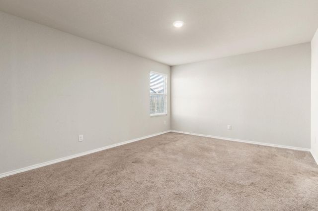 1922 Grey Catbird, New Braunfels, TX 78130