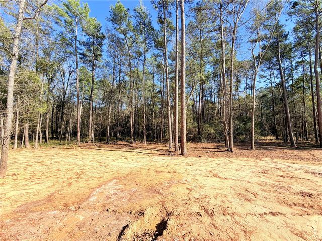 19991 Northfork Dr, Porter, TX 77365