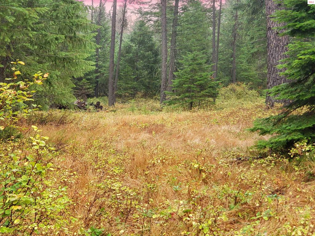 NNA W Maine St, Spirit Lake, ID 83869 photo 11