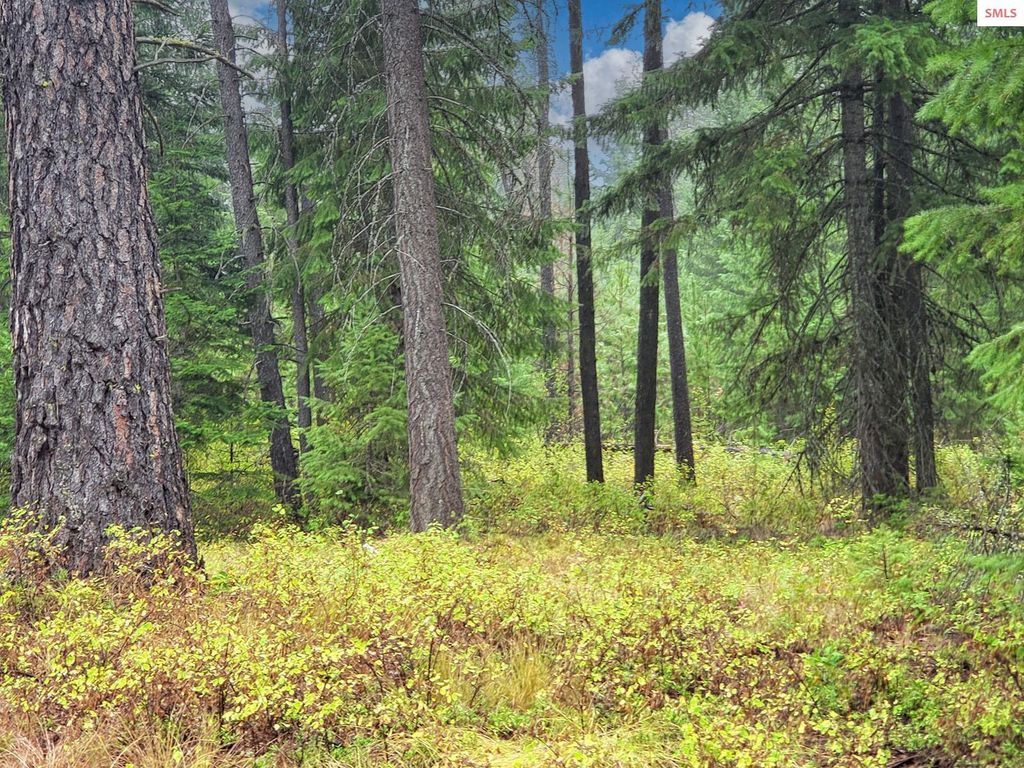 NNA W Maine St, Spirit Lake, ID 83869 photo 2