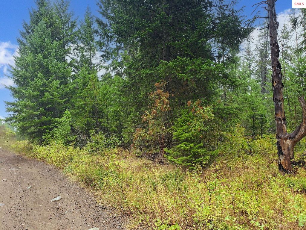 NNA W Maine St, Spirit Lake, ID 83869 photo 3