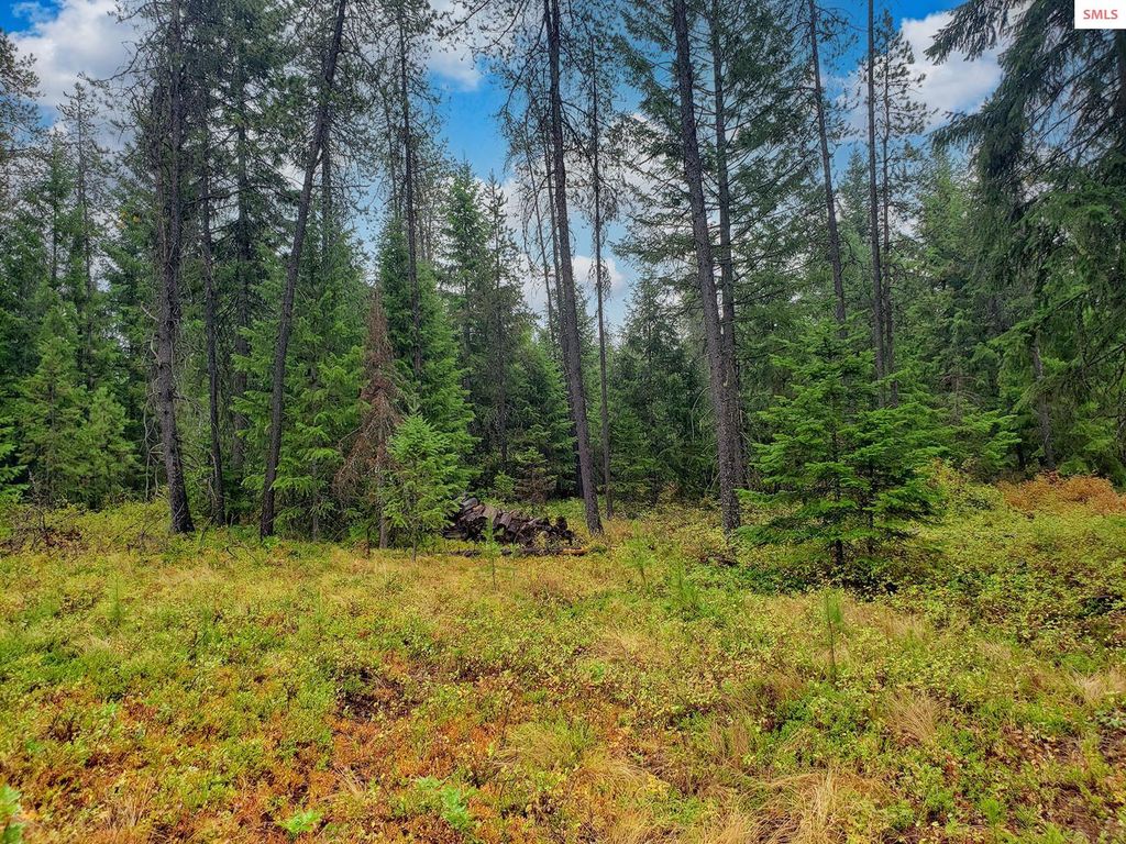 NNA W Maine St, Spirit Lake, ID 83869 photo 5