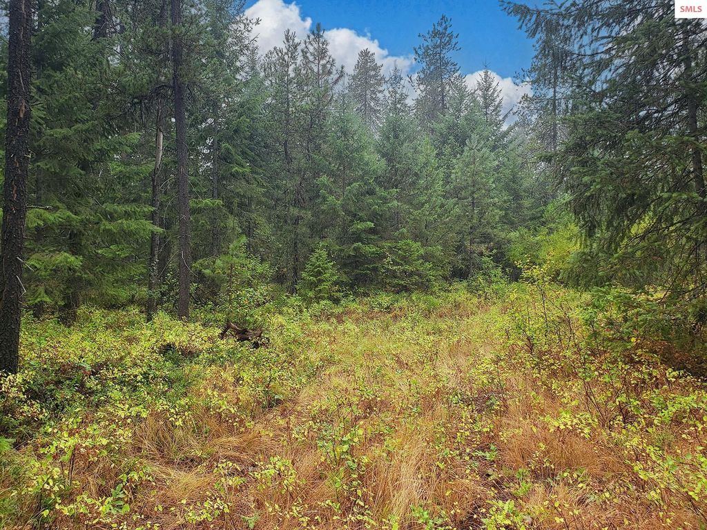 NNA W Maine St, Spirit Lake, ID 83869 photo 6