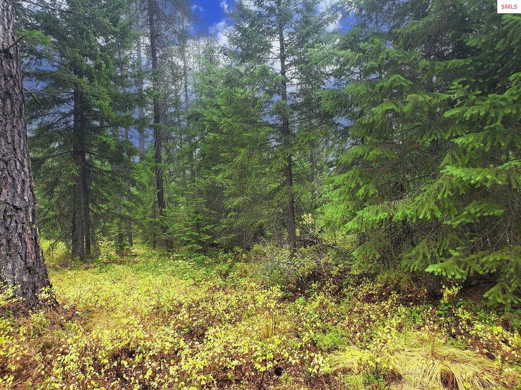 NNA W Maine St, Spirit Lake, ID 83869 photo 9