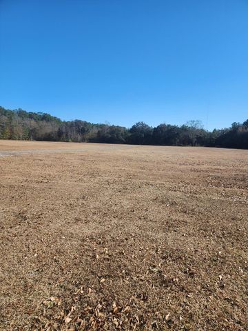 258 Truth Way Lot 4, Cordesville, SC 29434