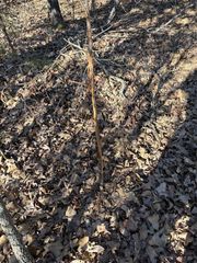 E 935 Road, Luther, OK 73054