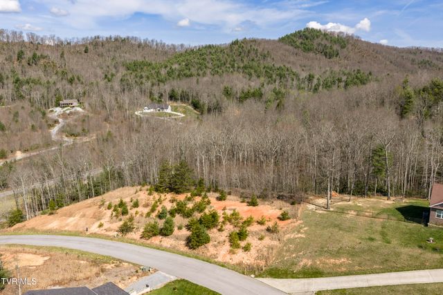 Lot 47 Homestead Drive, Unicoi, TN 37692